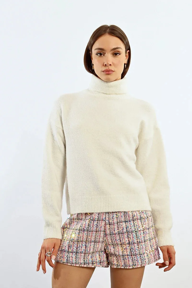 Turtleneck Sweater